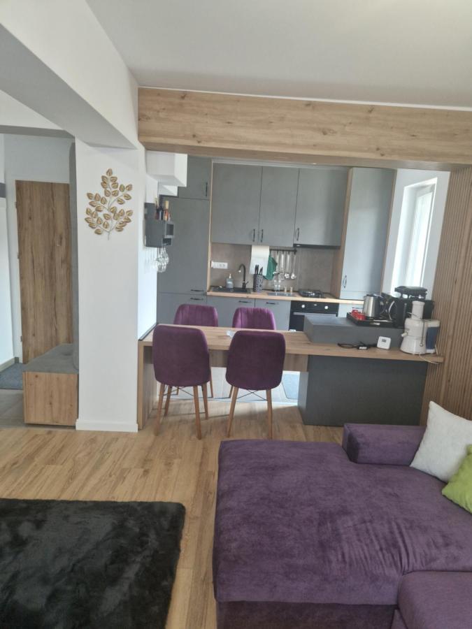 Casa Mov Lägenhet Braşov Exteriör bild